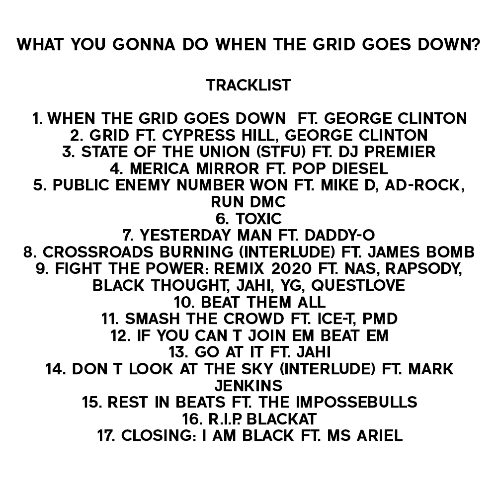 What You Gonna Do When The Grid Goes Down Digital Album